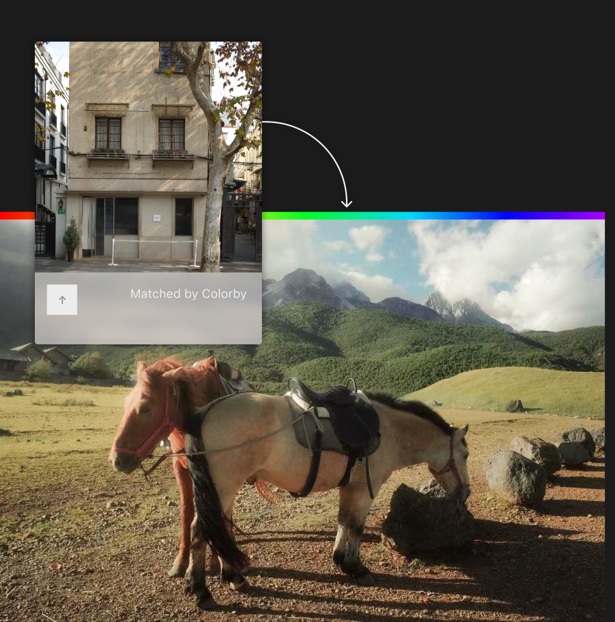 AI Color Match — Colorby example